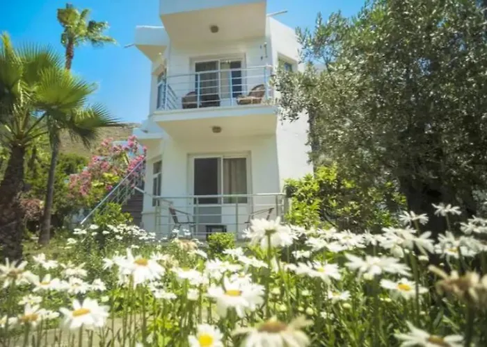 Szálloda Baraka Hisaronu (adults Only) 3*