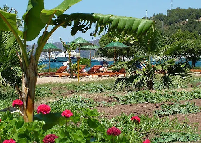 Baraka Hisaronu (adults Only) Szálloda 3*