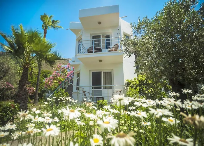 Baraka Hisaronu (adults Only)