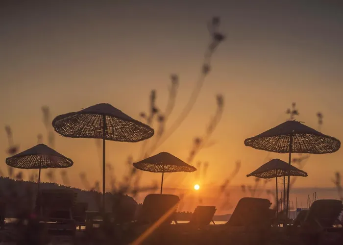 Baraka Hisaronu (adults Only)