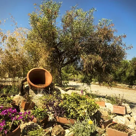 Baraka Hisaronu (adults Only)