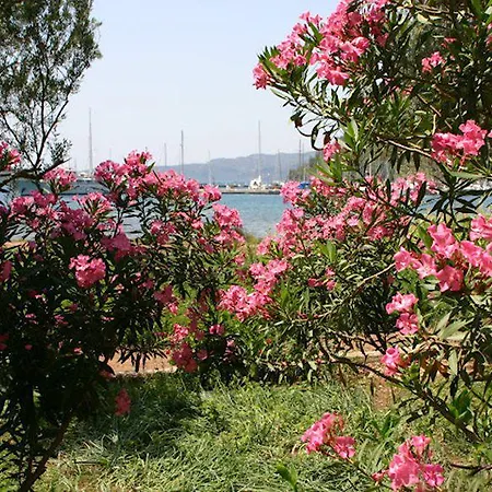 Baraka Hisaronu (adults Only) Hotell Marmaris