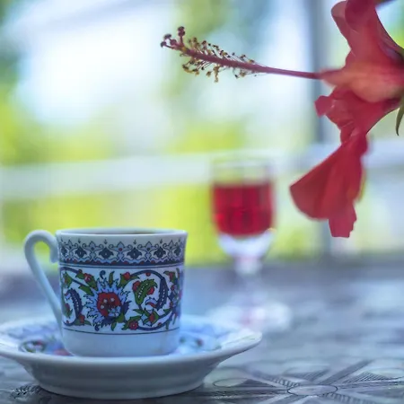 Hotell Baraka Hisaronu (adults Only) 3*