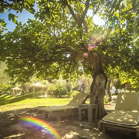 Baraka Hisaronu (adults Only) 3* Marmaris