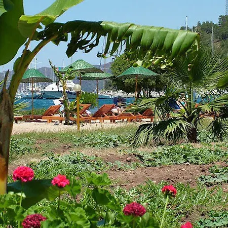 Baraka Hisaronu (adults Only) Hotell 3*